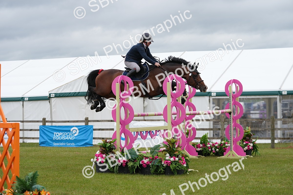 SBM_03343 - Class 201 - British Horse Feeds Speedi Beet Horse of the Year Show Grade  C
