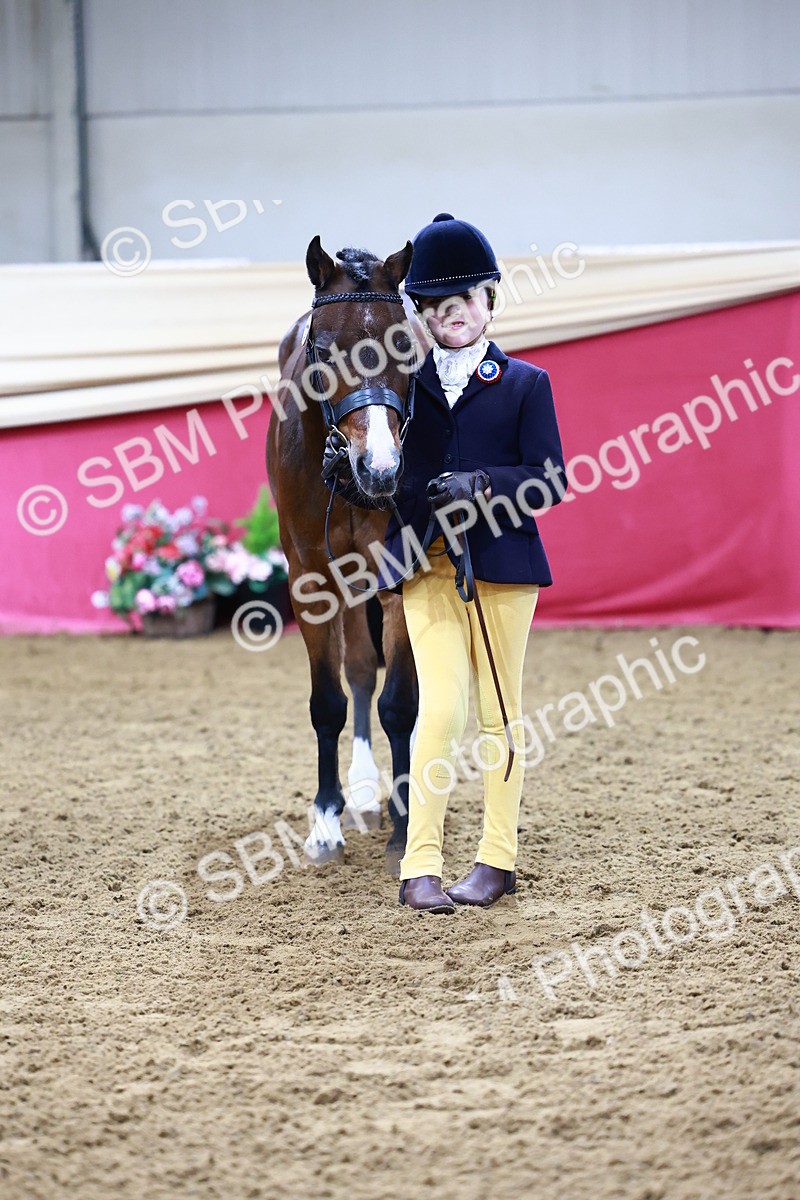 SBM_21822 - Class 901 - Supreme Final - IH  Diamond