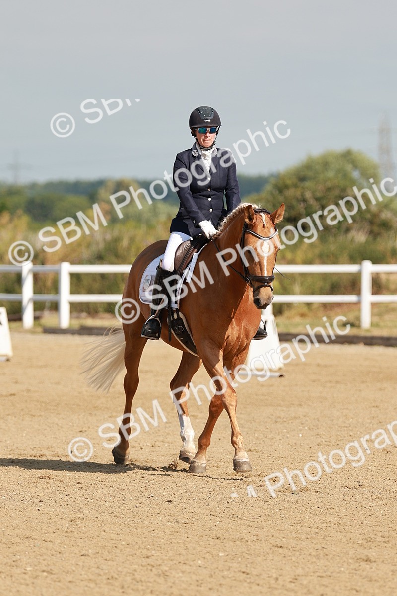 SBM_021083 - Class 12 - P6