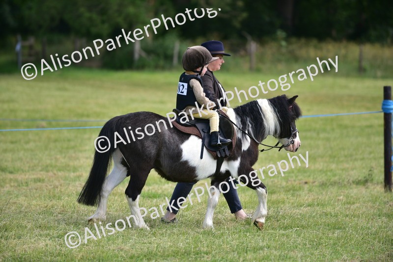 20260614-1129 - Class 11a - Lead Rein Pony (Unplaited)