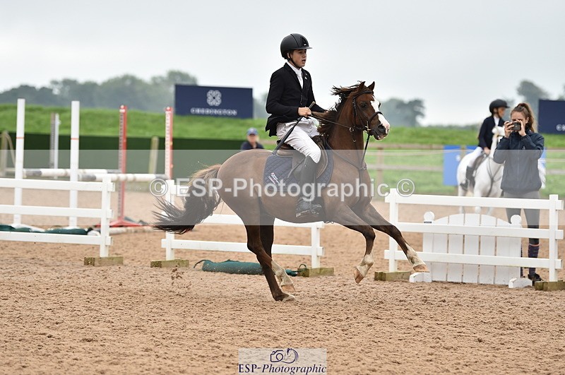 230902A-113956-00796 - Cls 2B Pony Small 80cm