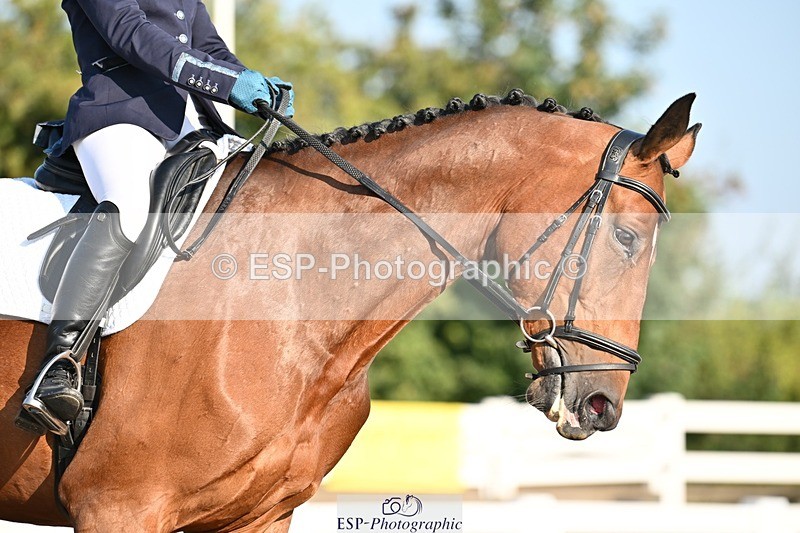 250816-084340-02465 - 107-Jo.RetallackDelgardo.Z