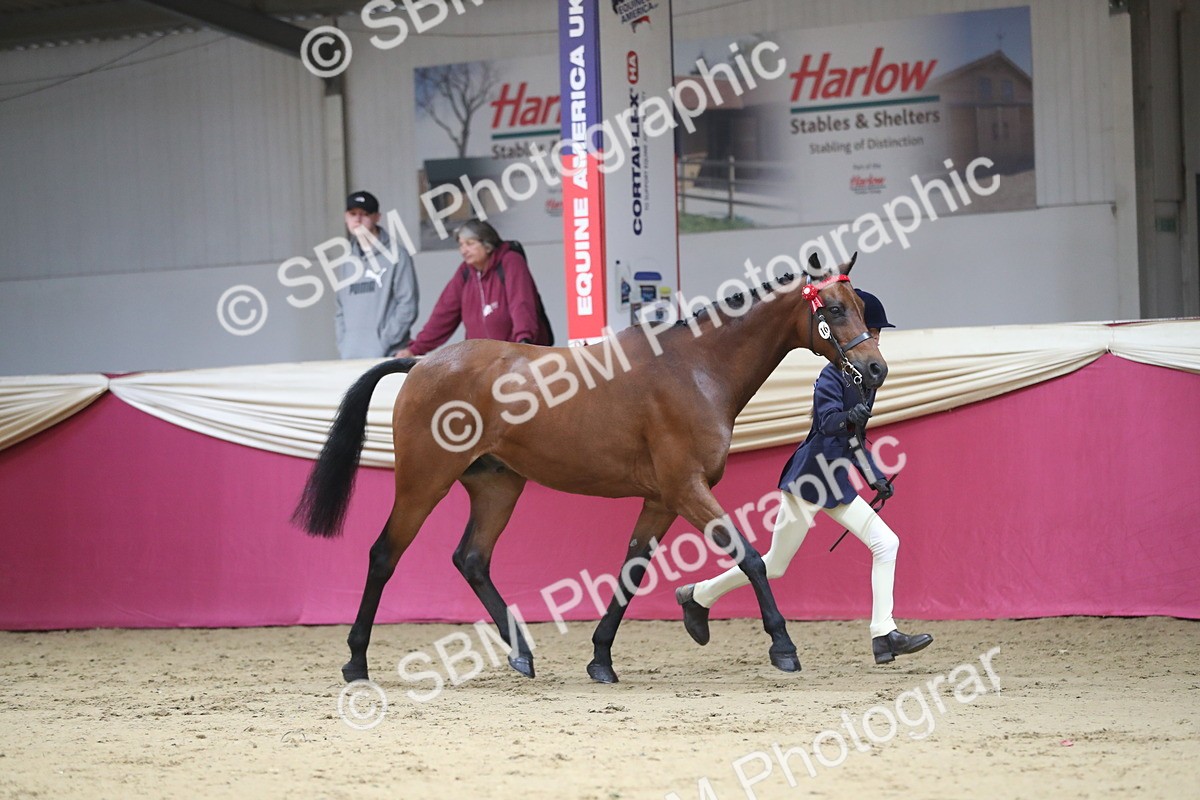 SBM_01290 - Class 3a Area IH Pre Vet