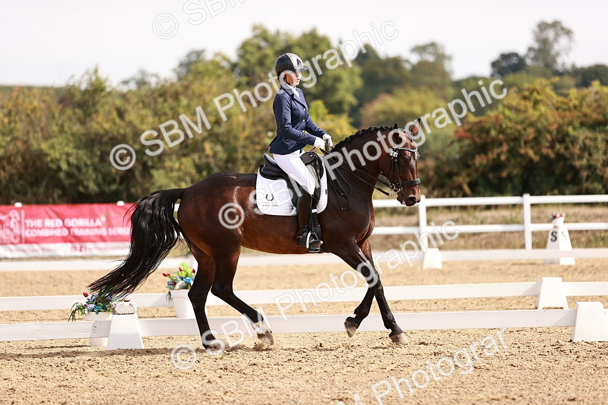 SBM_017573 - Class 11 - Advanced Medium 6