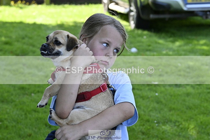 240728B-120531-00400 - Sunday Stable Shots and Fancy Dress