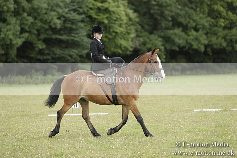 BVR160717-619 - Class 1 & 23a Dressage 16/07/17