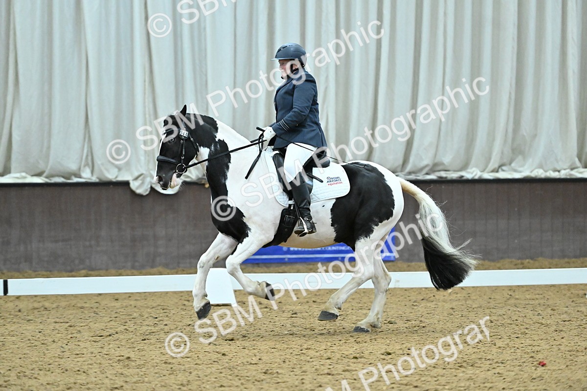 SBM_007419 - Class 81 - Novice 3