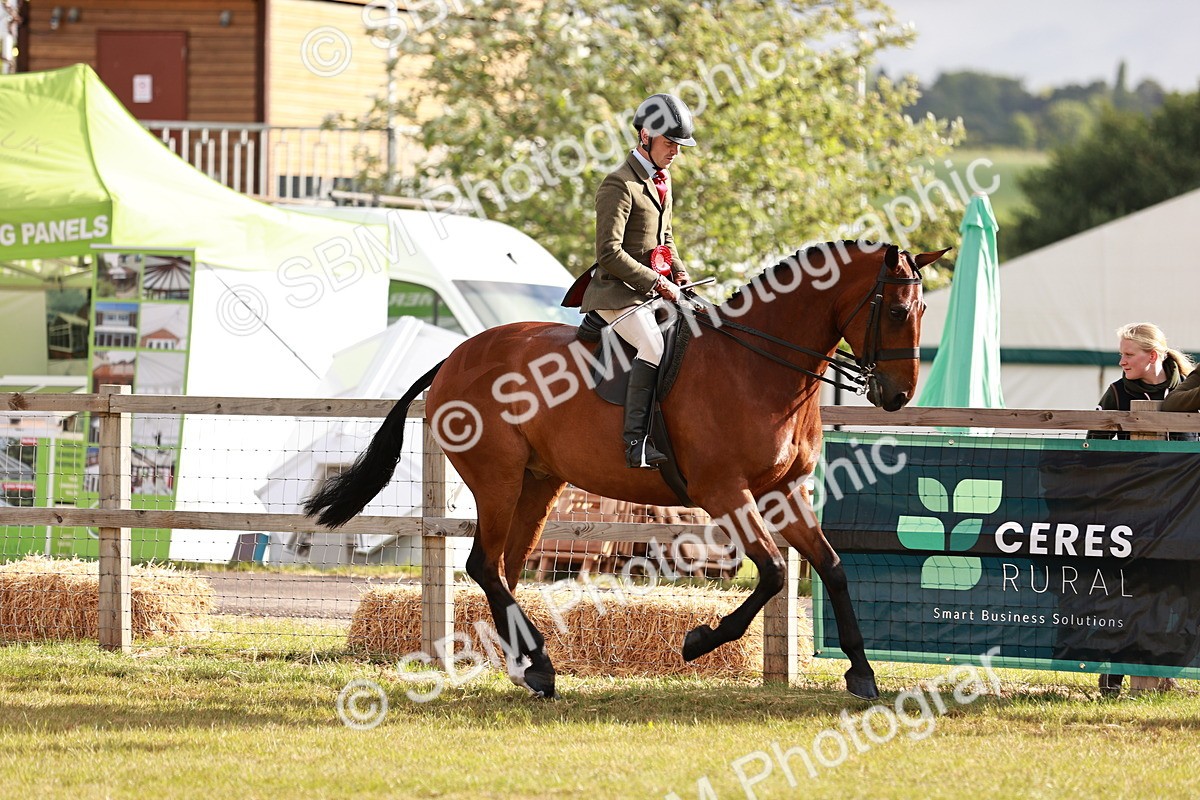 SBM_10826 - Class 81-84 - RIHS Ridden hunters Inc Ladies Hunter