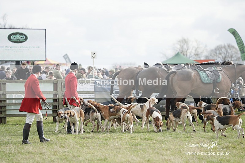 PtP 190323 477 - Oakley Hunt Point-to-Point Brafield-On-The-Green 19/03/23