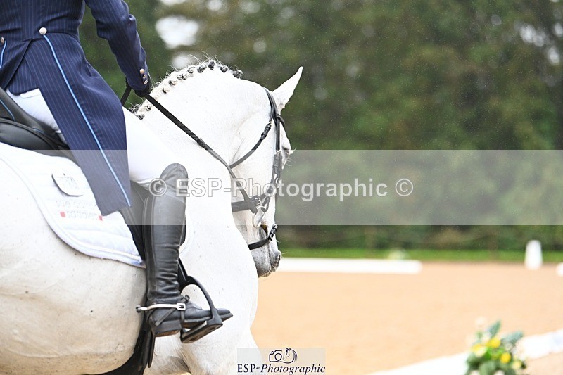 231021-103250-14470 - 230-CHOBELLA-Freddie.Taylor-DR