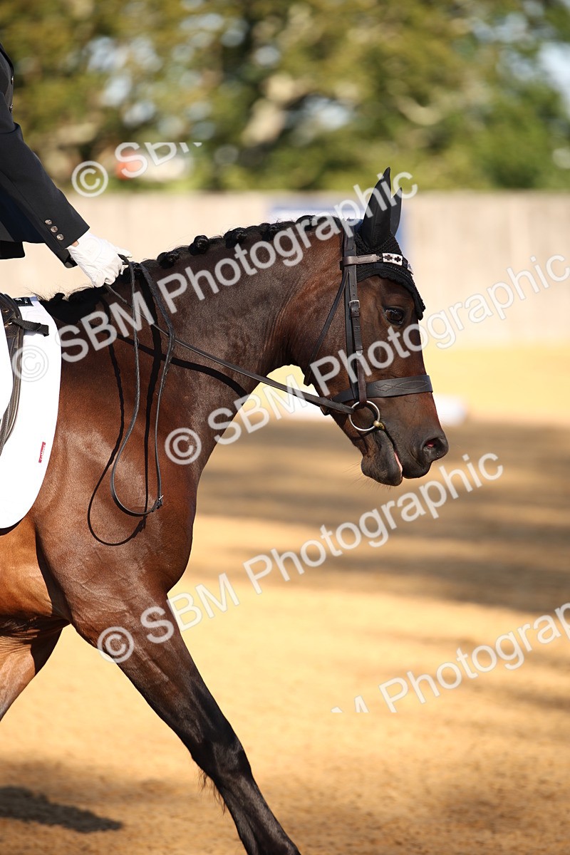 SBM_18287 - D31 - Grand Tour - PYO Open