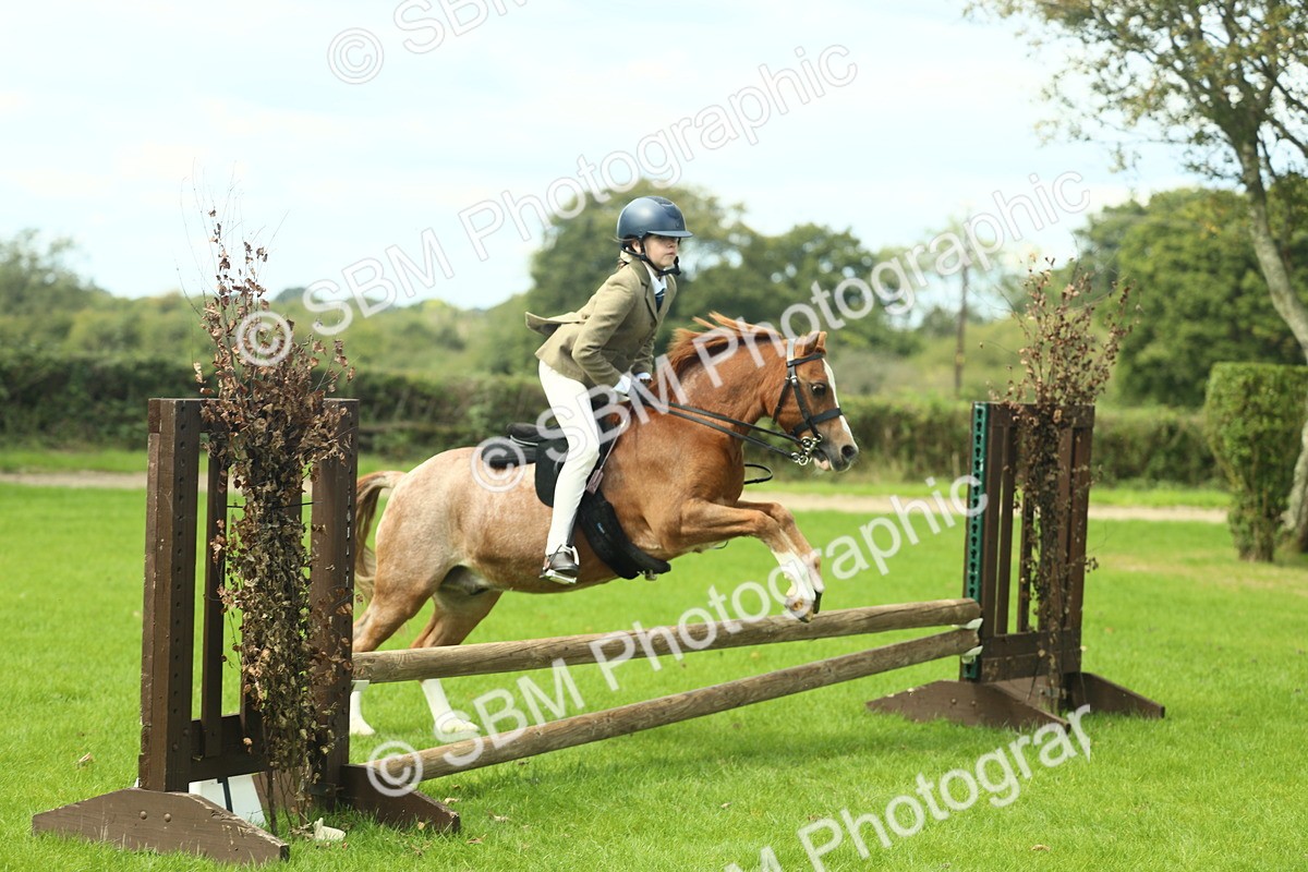 SBM_42726 - S30 - M&M Working hunter Pony