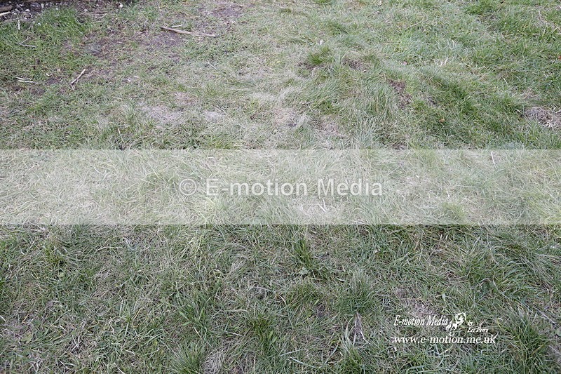 PtP 290123 0887 - Combined Services Point-to-Point  Presentations 05/02/23