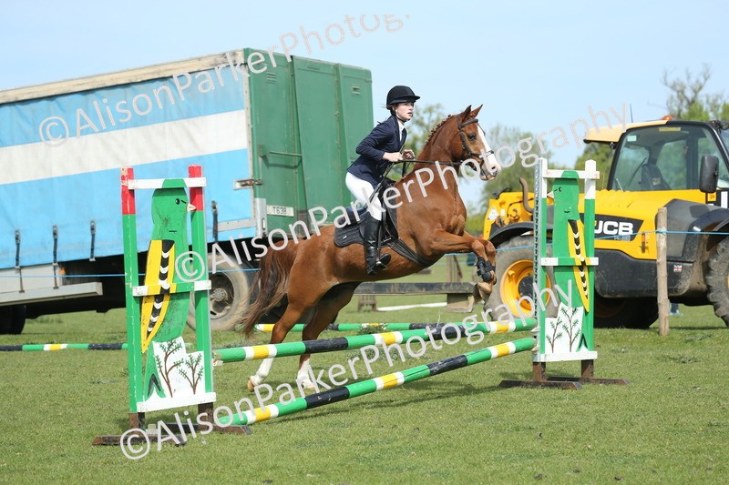 20260426-1499 - Class 14 - Novice 60cm