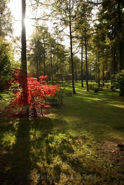  - Autumn