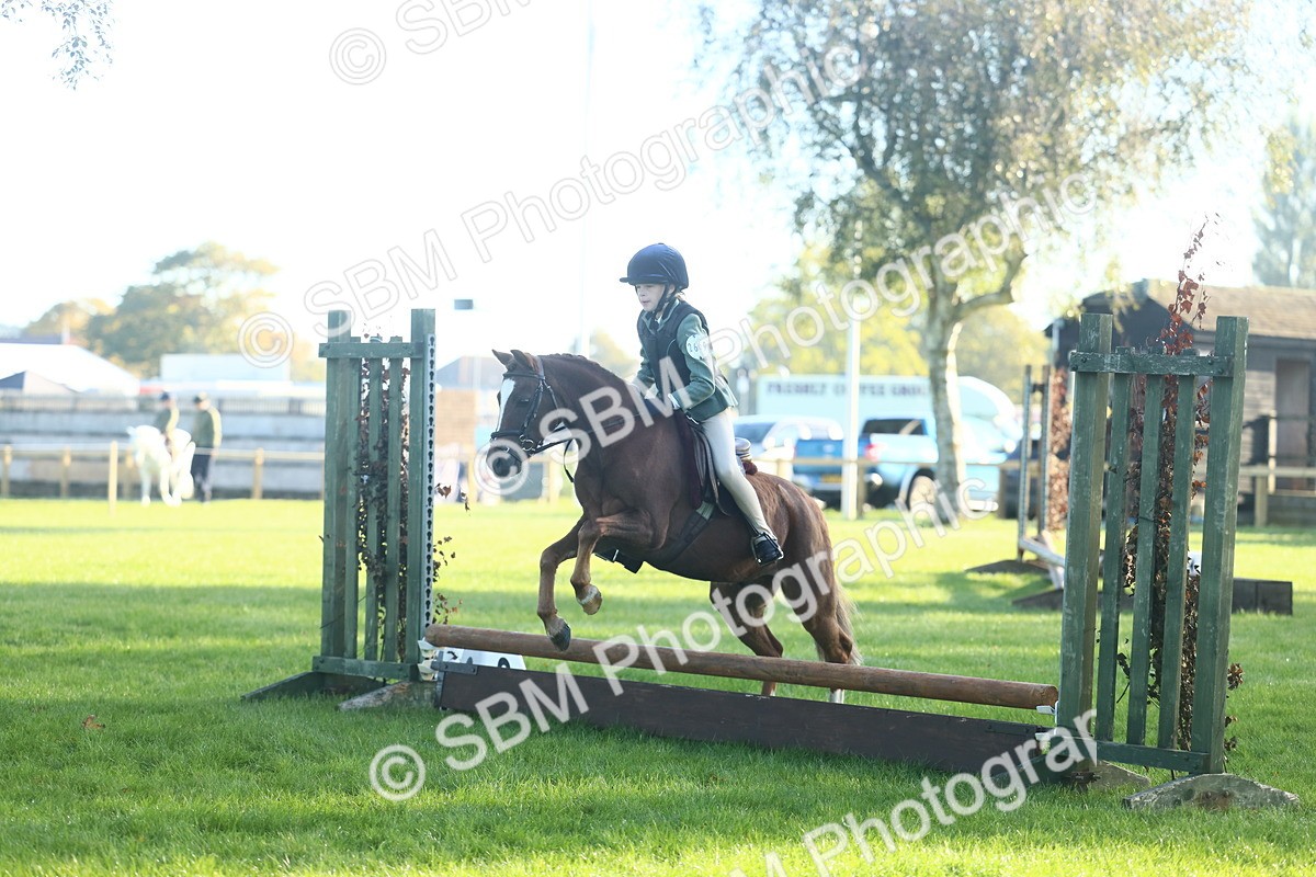 SBM_33408 - S28 - Nursery Stakes Working Hunter Pony