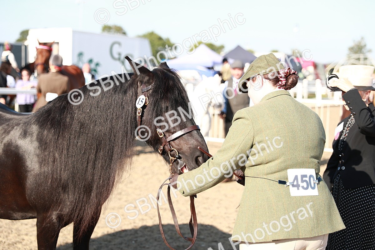 SBM_00080 - Class 40 Best Turned Out IH