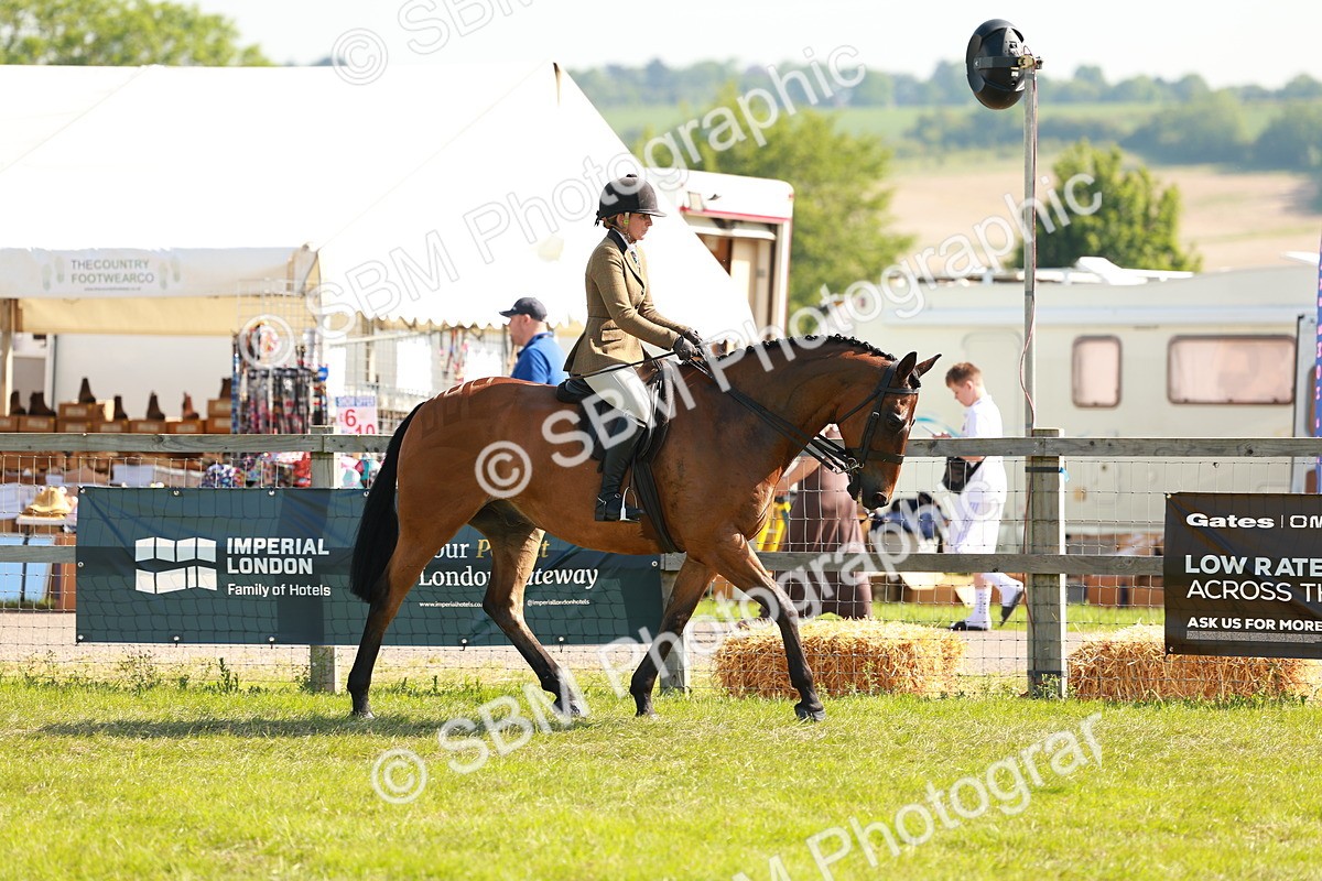 SBM_12023 - Class 66-69 - RIHS Ridden Hunters Inc Small Hunter