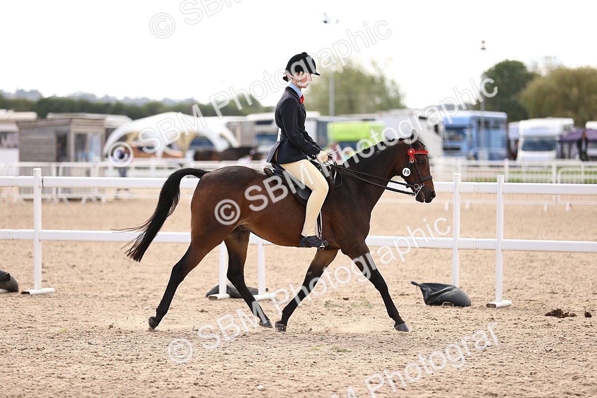 SBM_12832 - Class 409 - Grassroots Ridden - Pony