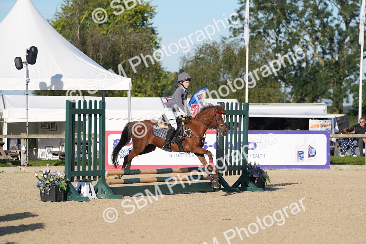 SBM_34367 - J62 - Clear Round 50cm