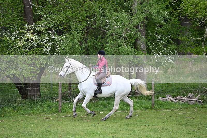 WJ6_3160 - A camera