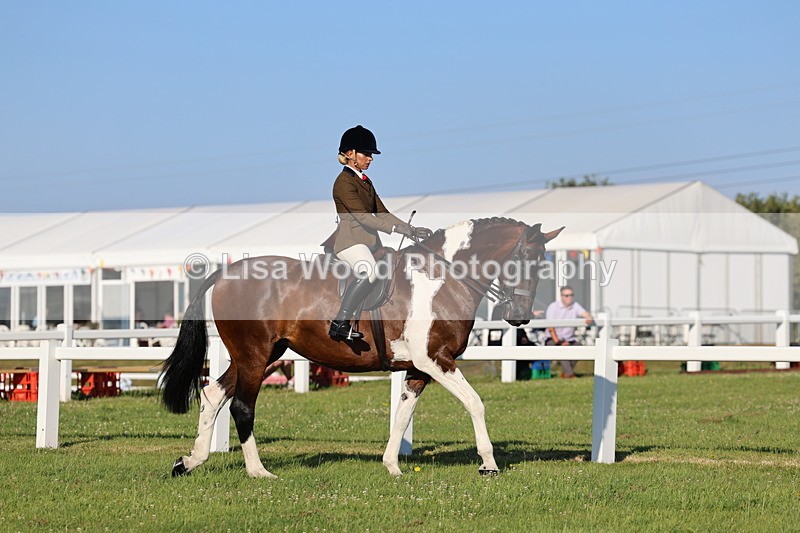 IMG_1187 - Class 27: Ridden Plaited Coloured Horse