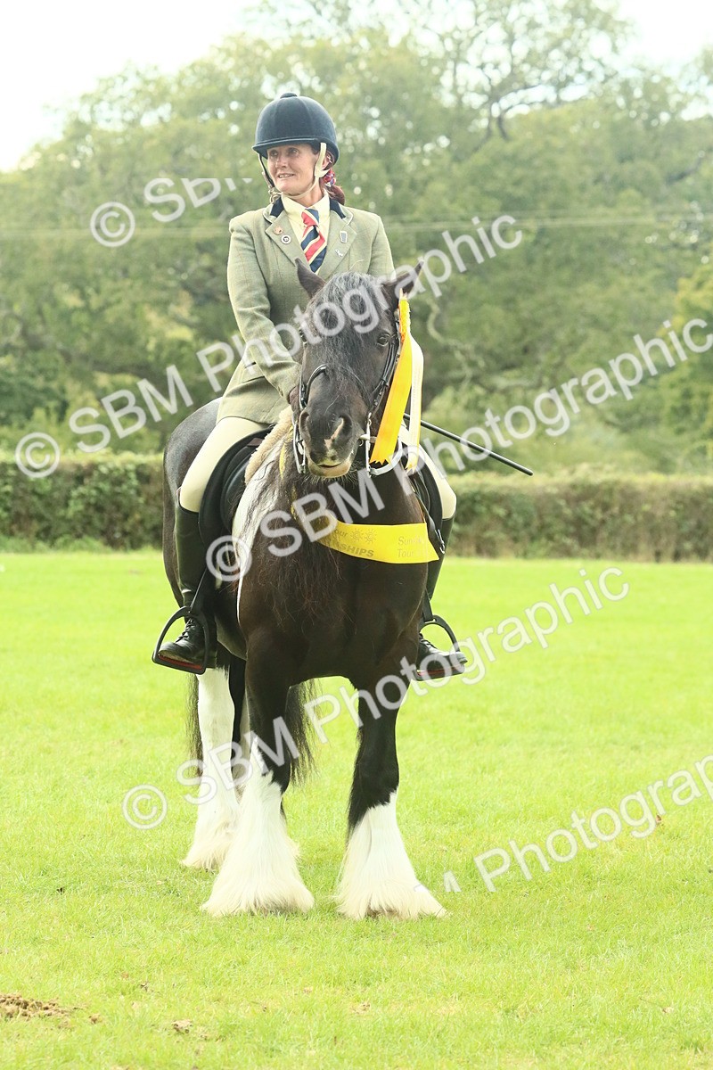 SBM_75070 - Ridden Pony Supreme Championship