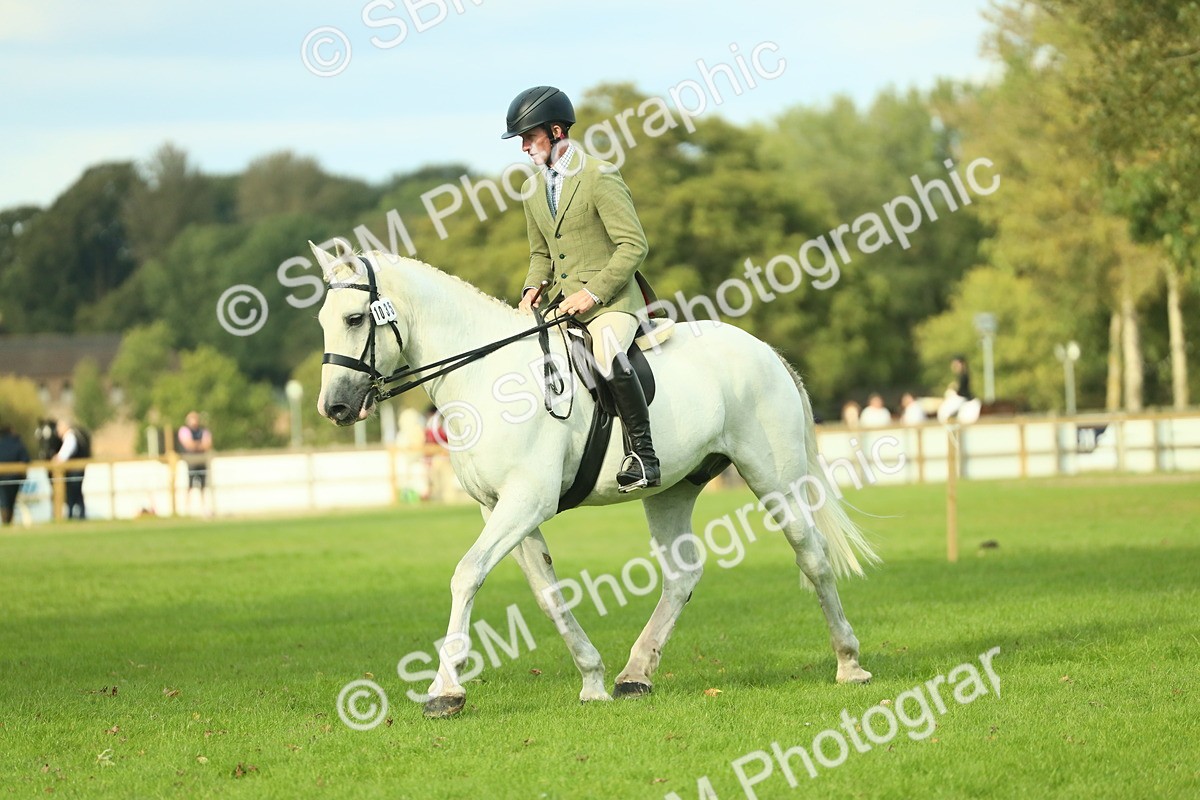 SBM_52110 - S33 - Working Hunter & Working Show Horse