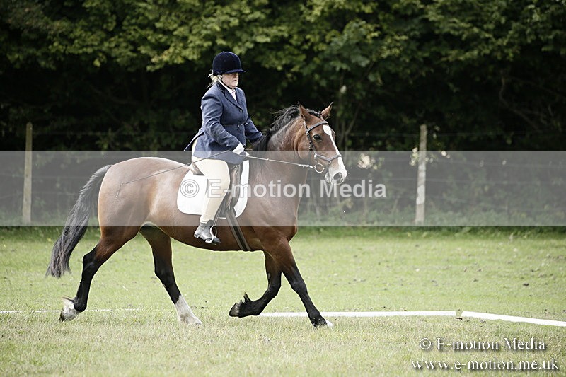BVR080918 178 - BVRC Novice Dressage & CR 08/09/18