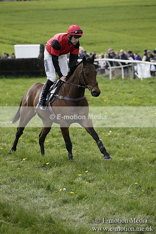 PtP 170417 414 - Old Berks Point-to-Point Lockinge 17/04/17