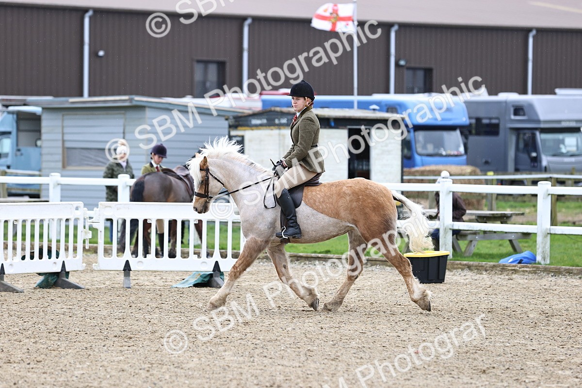 SBM_006995 - Class 29 - 30 - M&M Pure Novice Small-Large Breeds