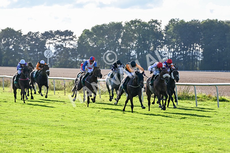 140926-Race 7-Forest Caper-7922 - Race 7 5.21pm Bowel Cancer Screening Programme Saves Lives Handicap