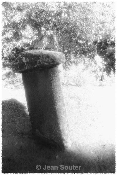 IR7 - Infra Red