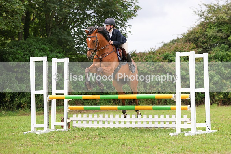 3E7A7114 - Class 5: Senior British Novice/90cm open