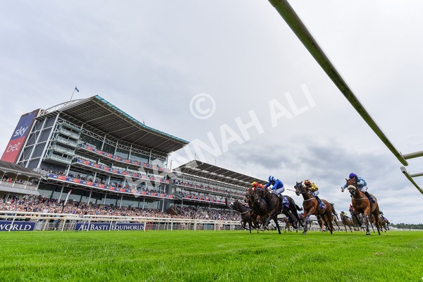 260725-Race 2-Elmonjed-7905 - Race 2 2.00pm Sky Bet Dash Handicap