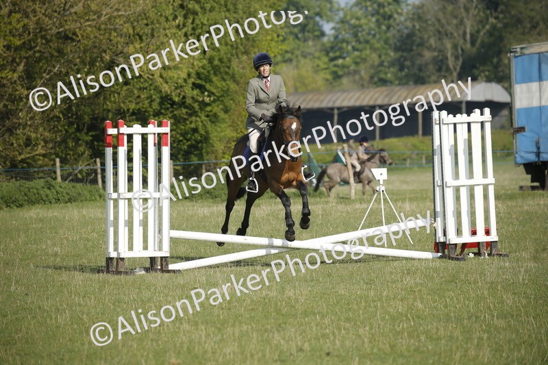 20250427-0229 - Class 12 - Rookie Jumping 40cm