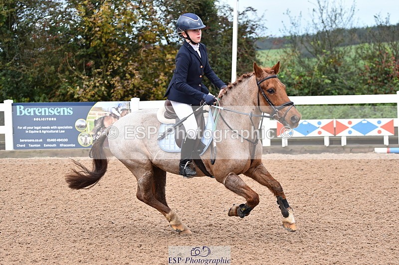 231029A-103114-02313 - 70cm Pony Intro