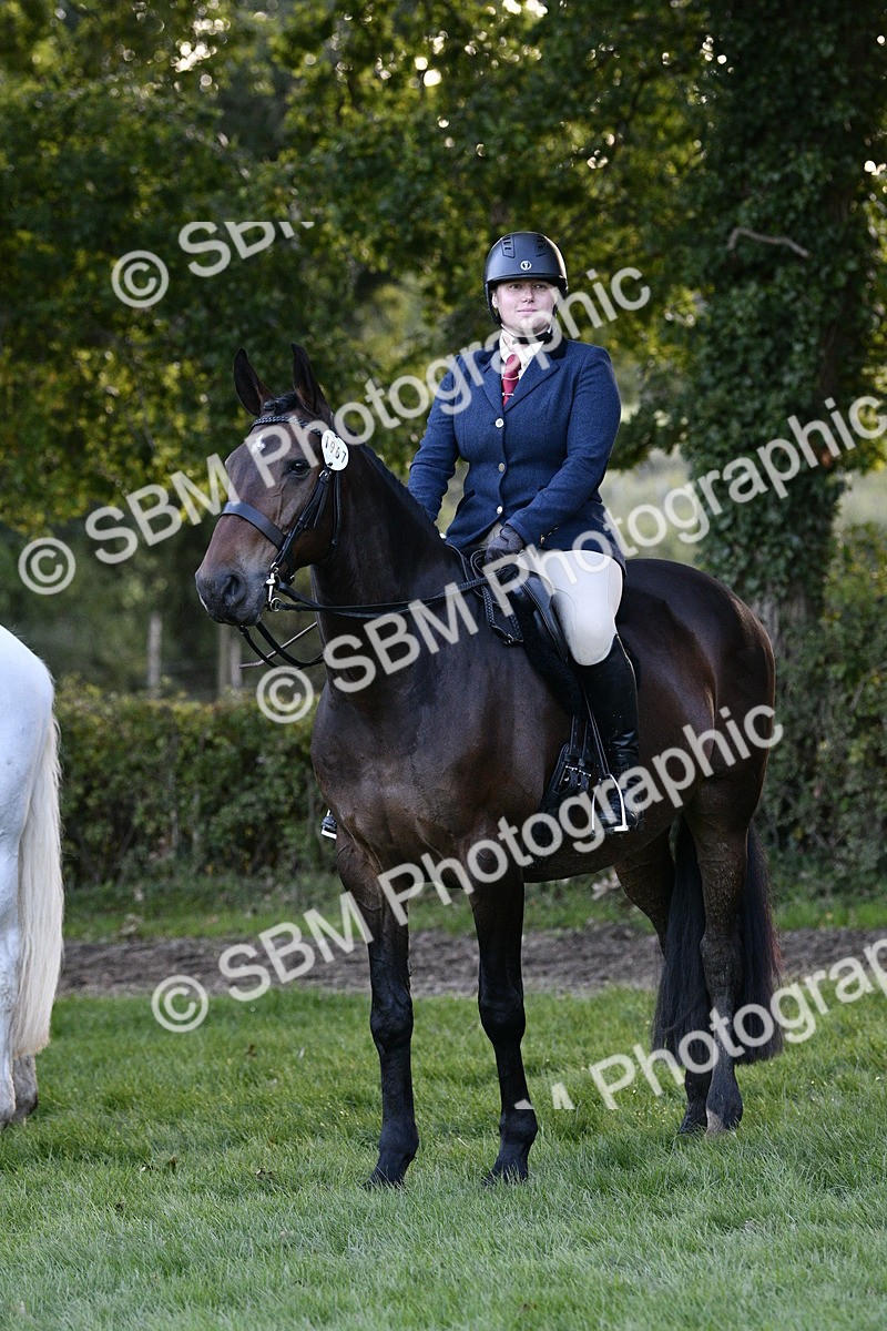 SBM_53594 - S14 - Riding Club Horse