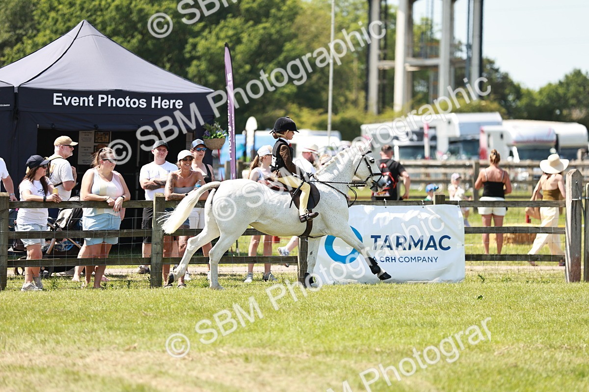SBM_15633 - Class 108-109 - BSPS LIHS Open Gradle & Nursery Stakes