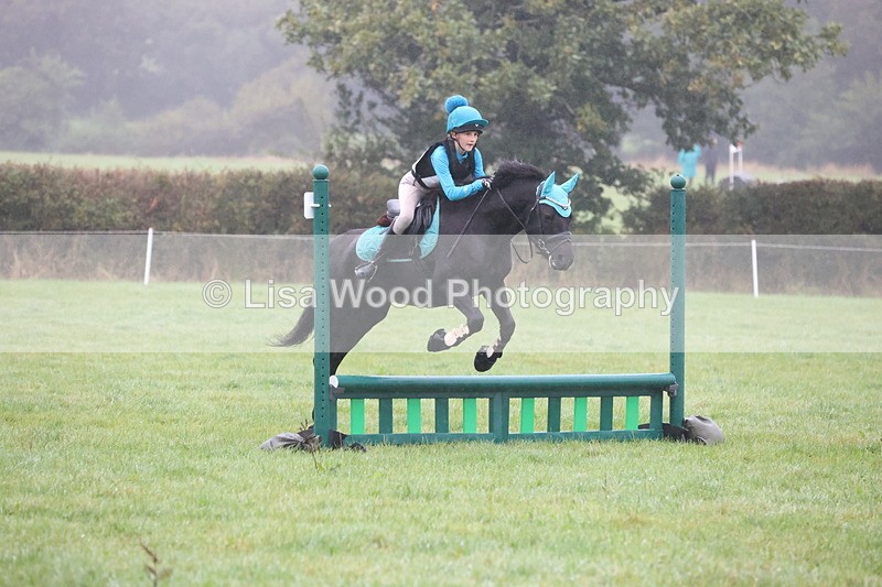 JPP_5011 - Class 1: 65cm : Showjumping