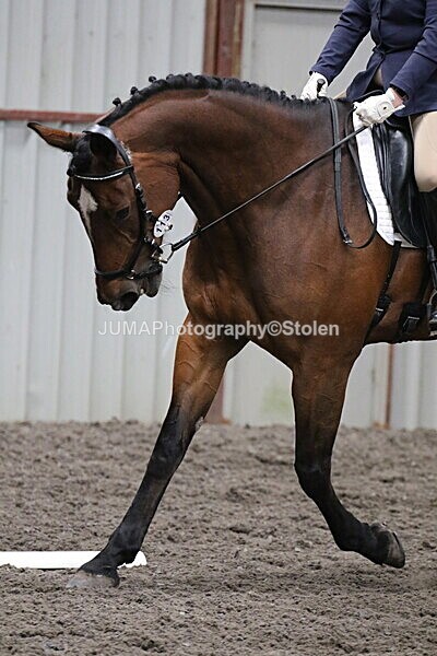 SIAL4754 - CAbin Dressage 5th july 2025