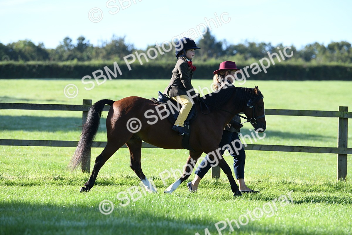 SBM_35342 - S17 - Condition & Turnout - Lead Rein