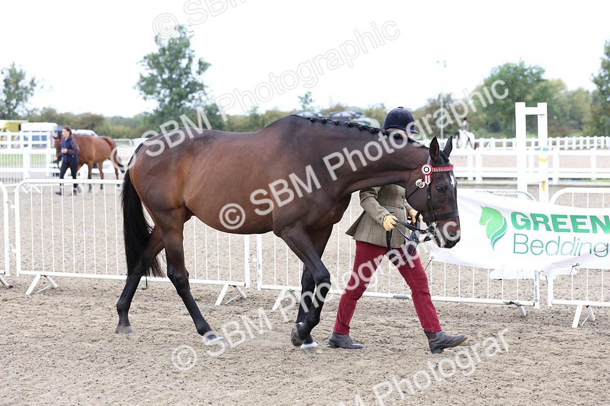 SBM_00027 - Class 50 - Best Turned Out IH