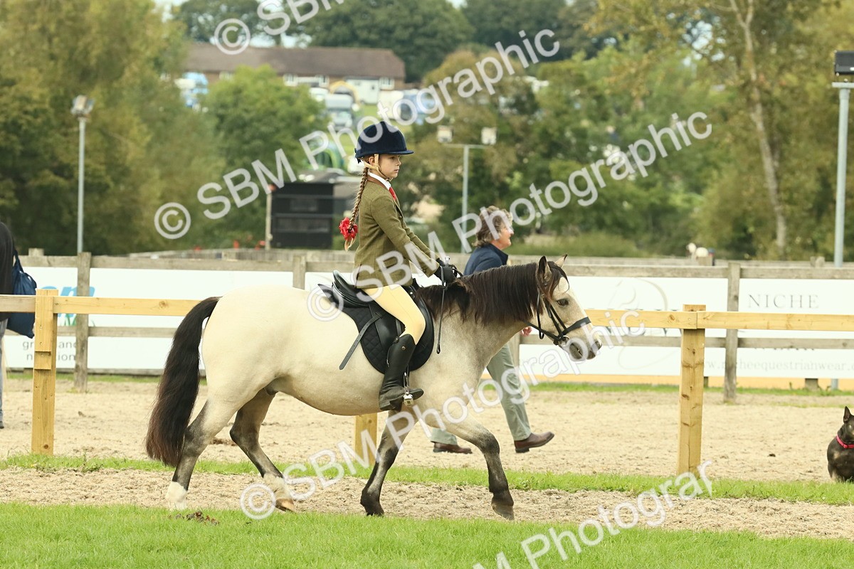 SBM_69942 - S59 - Mountain & Moorland Ridden Small Breeds