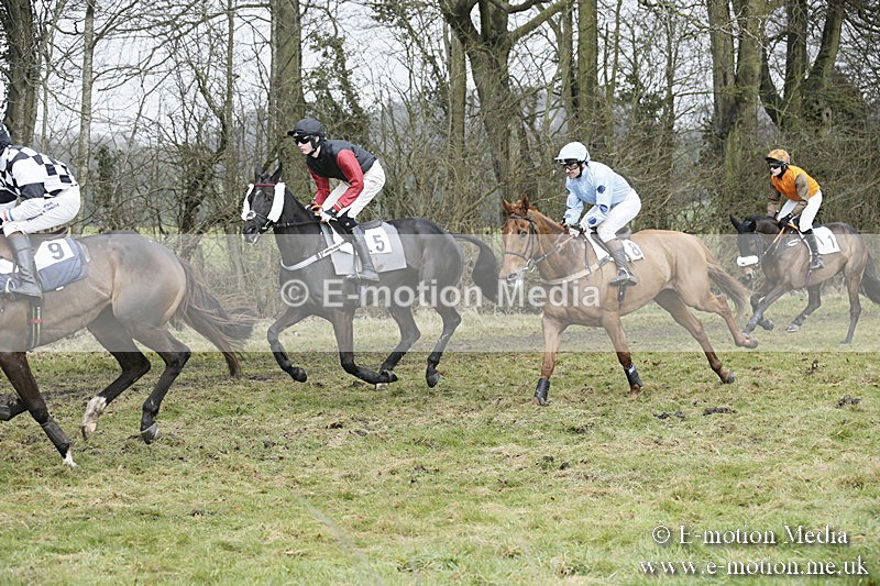 PtP 020418 -381 - Old Berks Point-to-Point Races Easter Monday 02/04/18