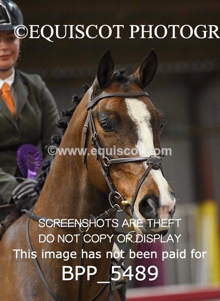 BPP_5489 - CLASS 8 70CM