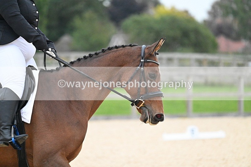 WJ7_2464 - Class 2 & Champs