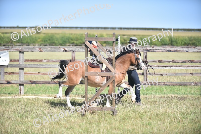 20260906-1736 - Class 11 - 13hh and Under
