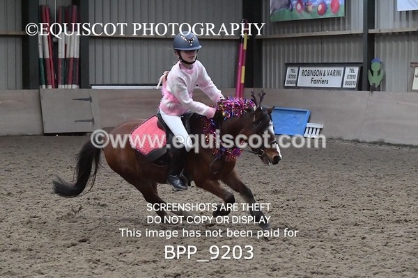 BPP_9203 - CLASS 4 50CM Novice Show Jumping
