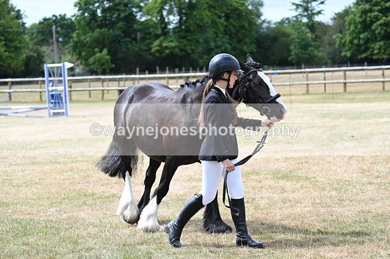 WJ7_1666 - Class 4 Prettiest Mare up to 14.2hh in hand